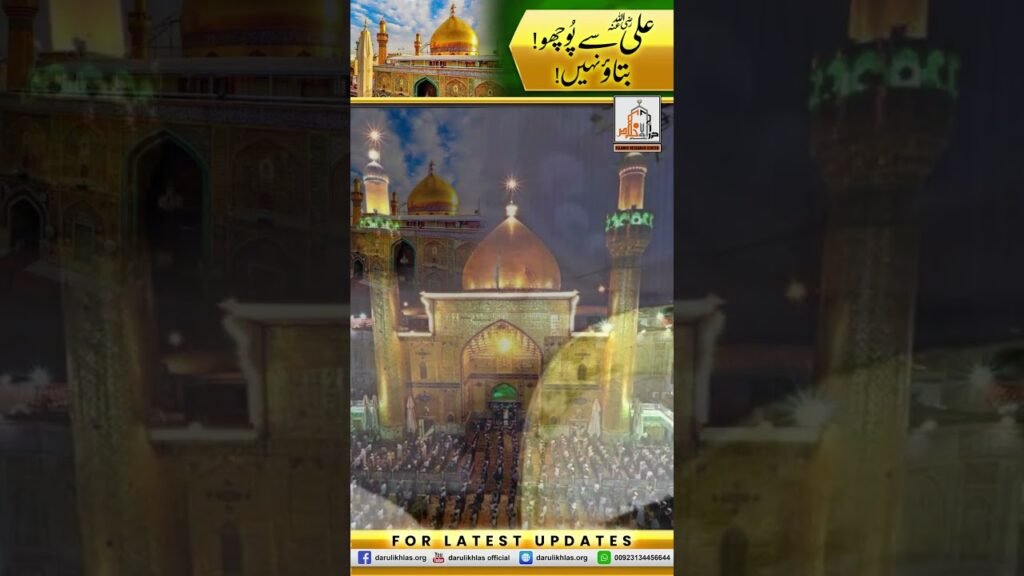 Ali (r.a) se Pucho, Btao Nahi | Short Clip | Allama Shahzad Mujaddidi | #shorts #shortvideo