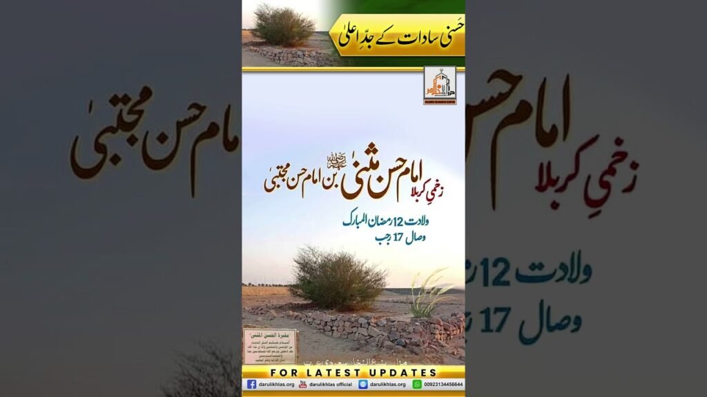 Hassani Sadaat k Jadd e Aala | Short Clip | Allama Shahzad Mujaddidi | #shortvideo #shorts