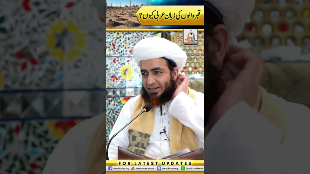 Qabar walon ki Zuban Arabi kyun? | by Allama Shahzad Mujaddidi #shorts #shortvideo